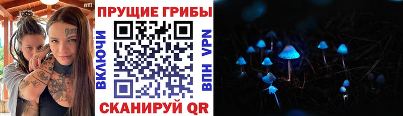 Галлюциногенные грибы прущие грибы  Москва 